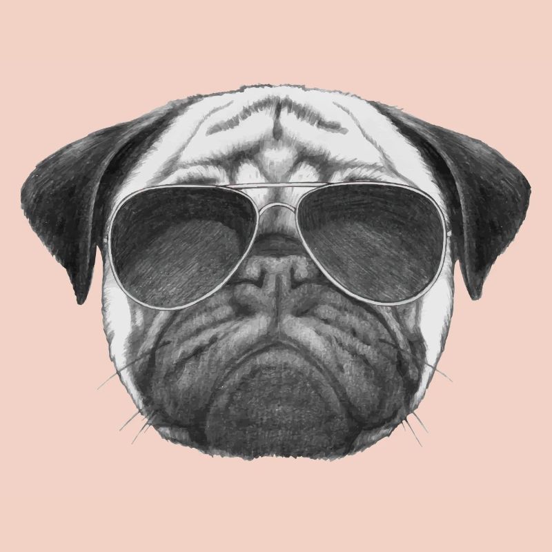 mops pug