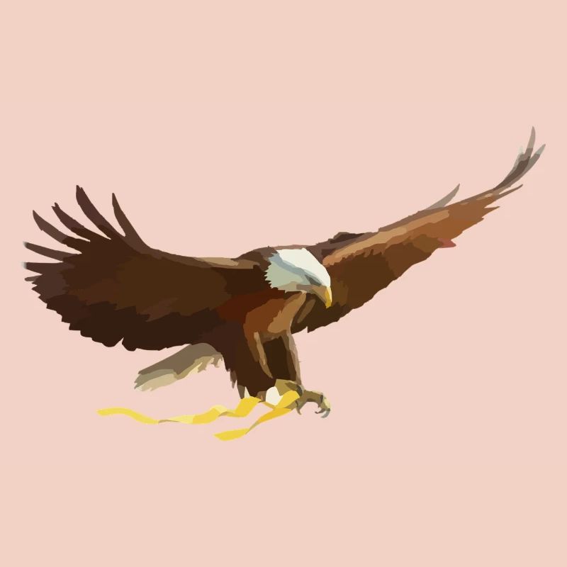 aigle