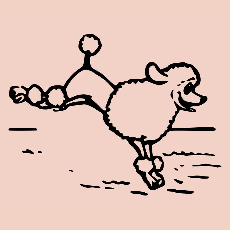 A poodle