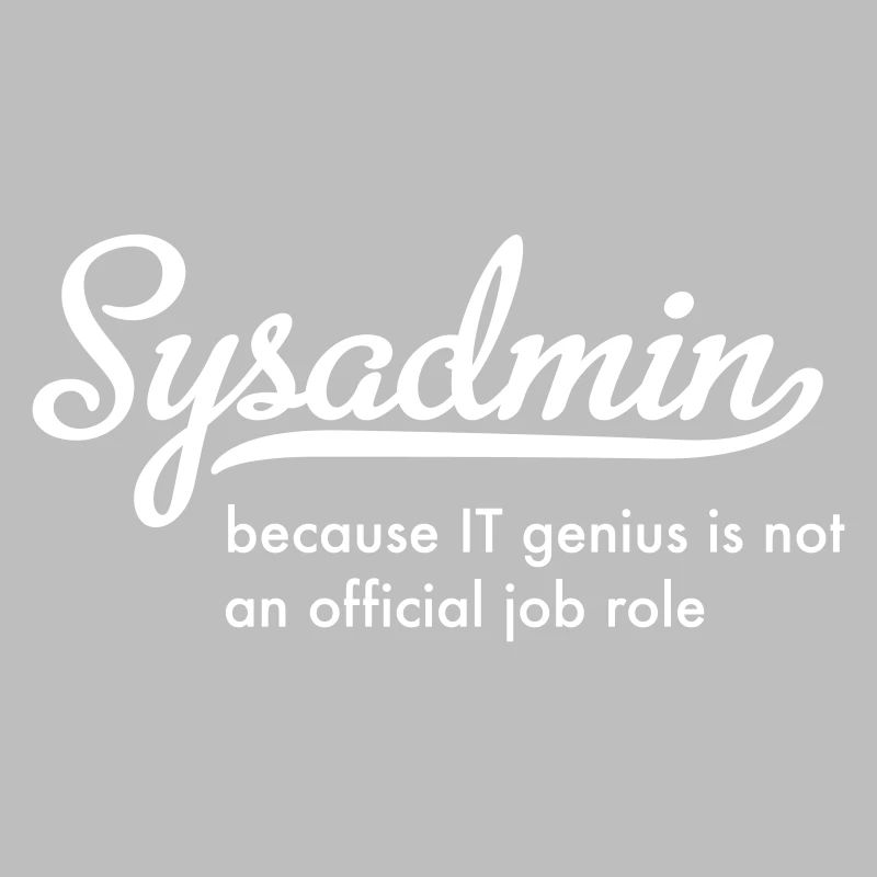 Administrateur système