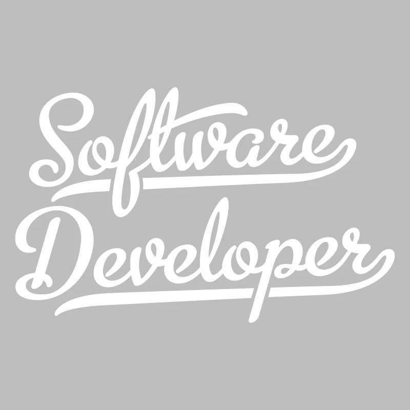 Software Developer
