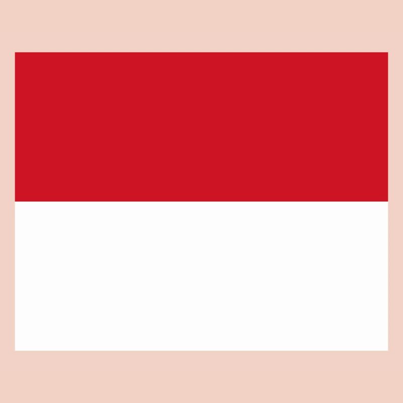 Monaco flag / Drapeau Monaco