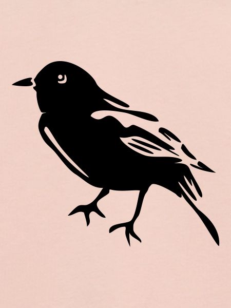 Spatz