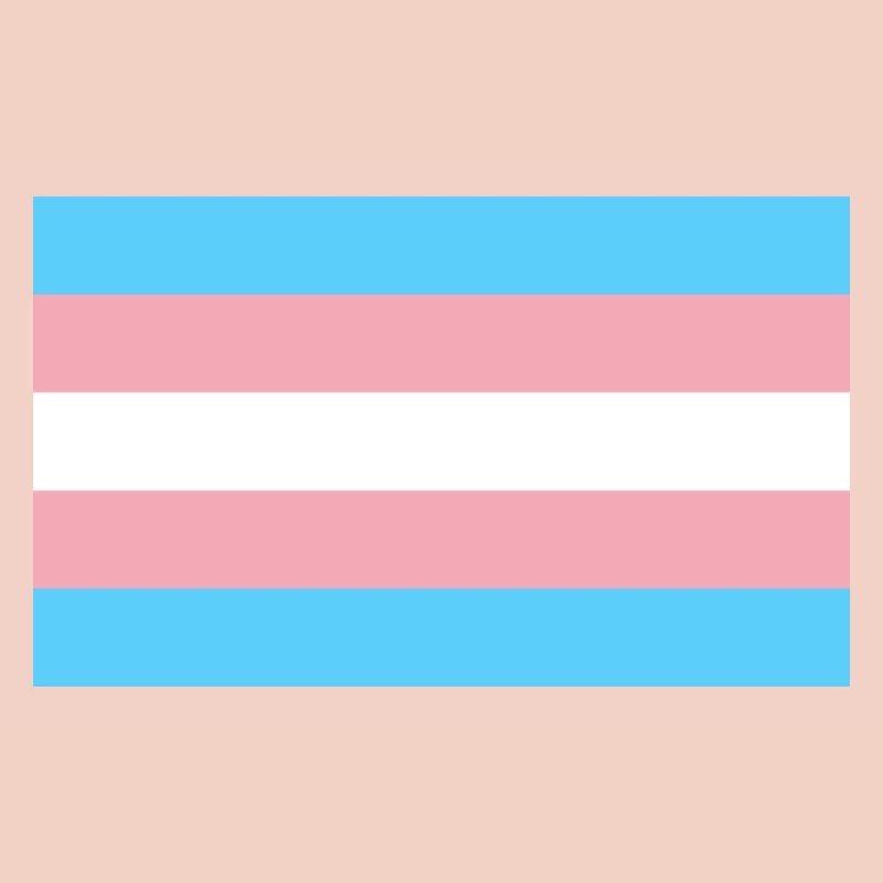 Drapeau trans