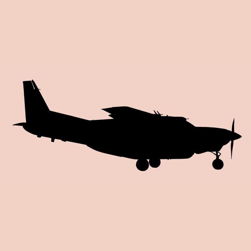 Avion