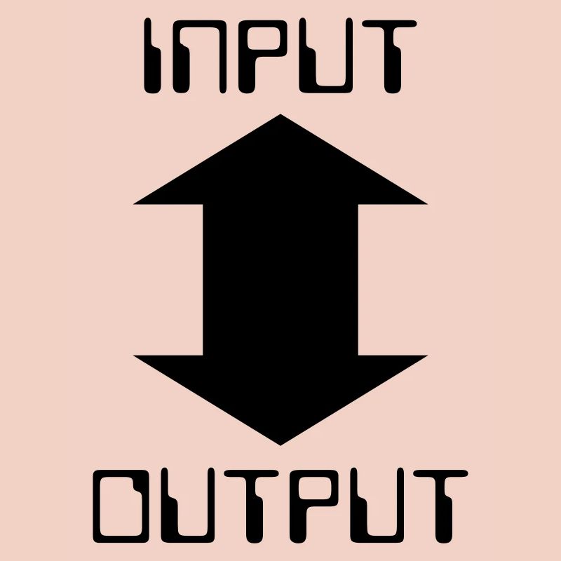Input Output