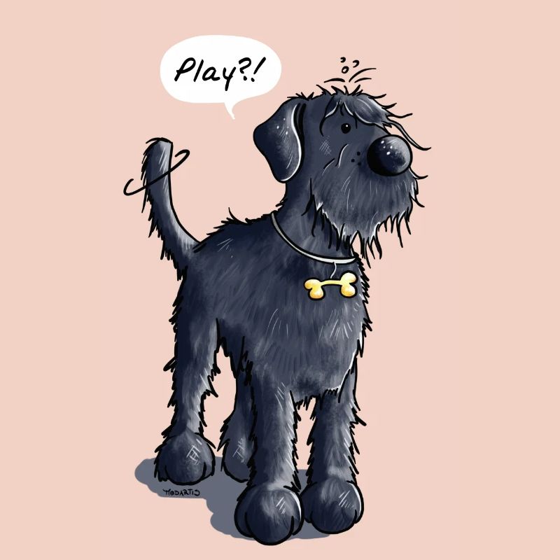 Schnauzer Géant Play - Chien - Chiens - Cadeau