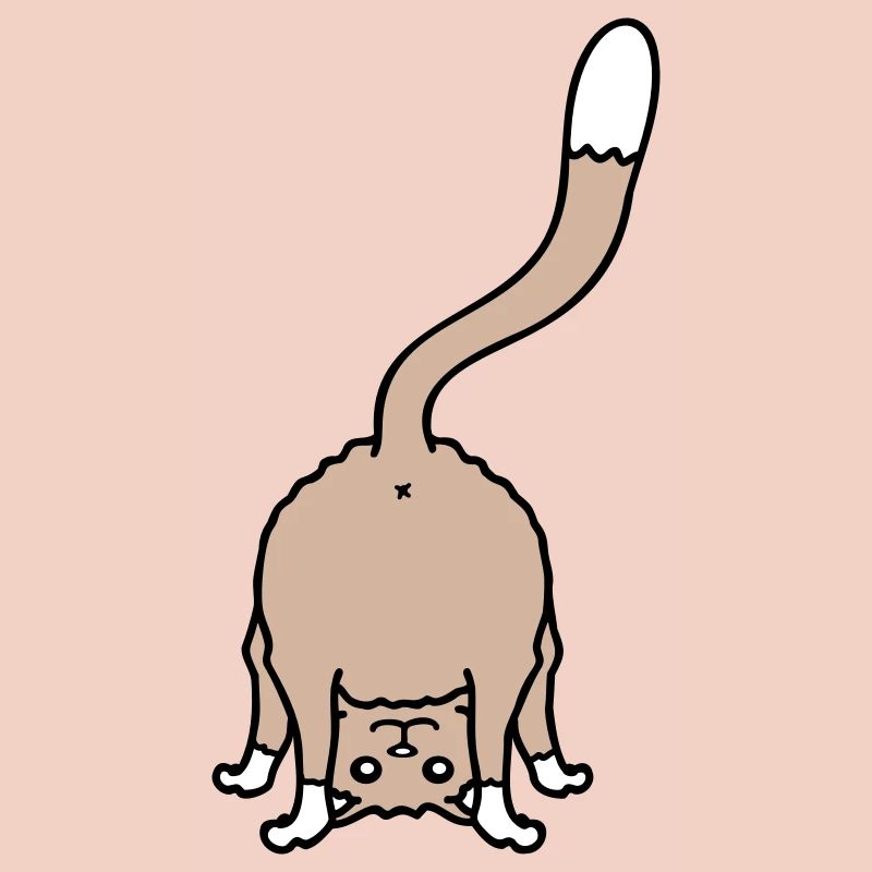 Funny Cat From Behind Shows Backside Ass Fun