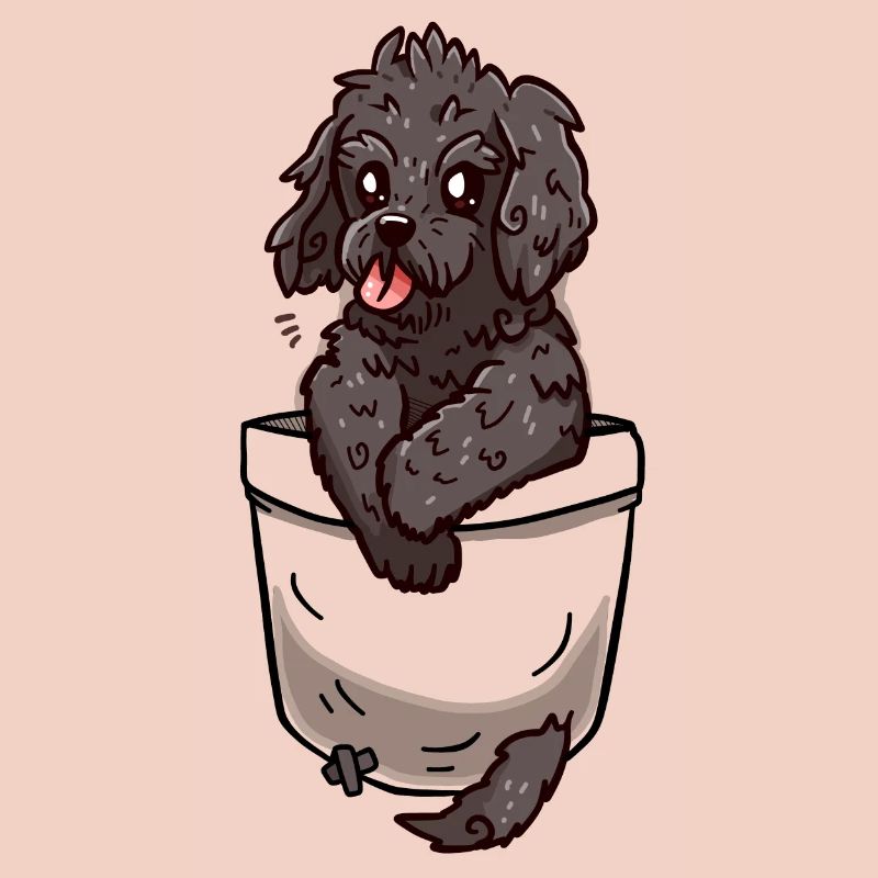 Poche Cockapoo