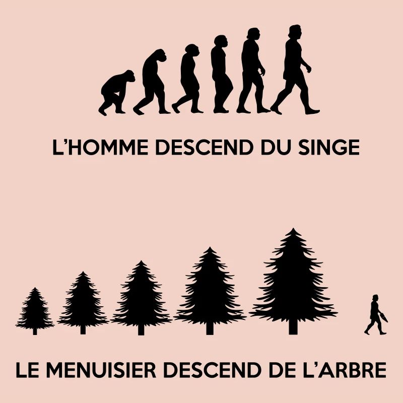 Evolution du menuisier