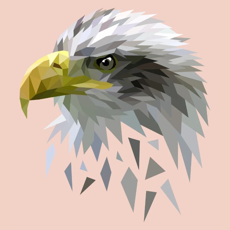White-tailed eagle low poly polygons geometric