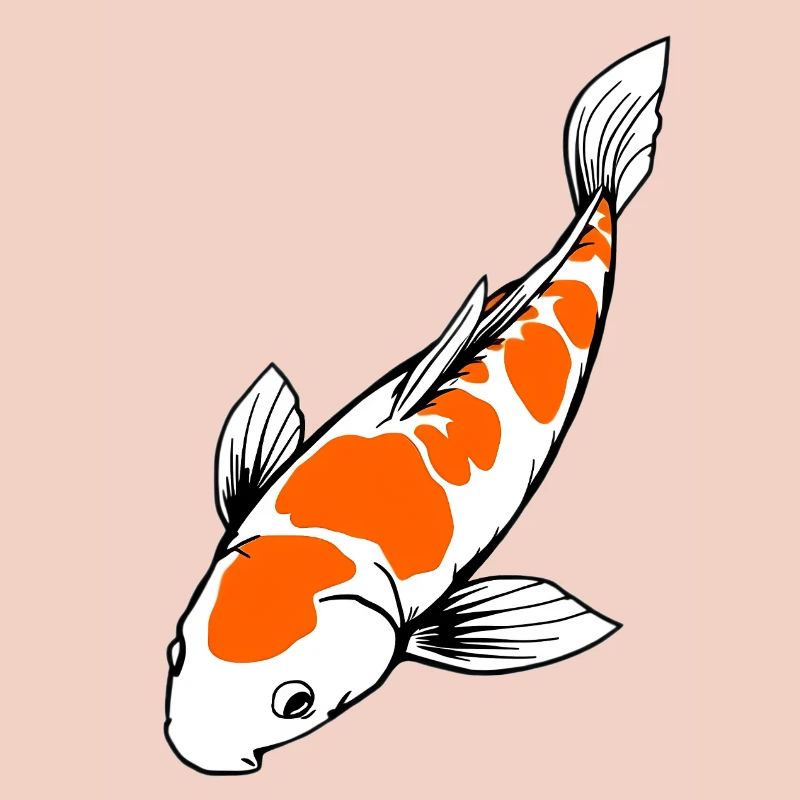 Koi Fish