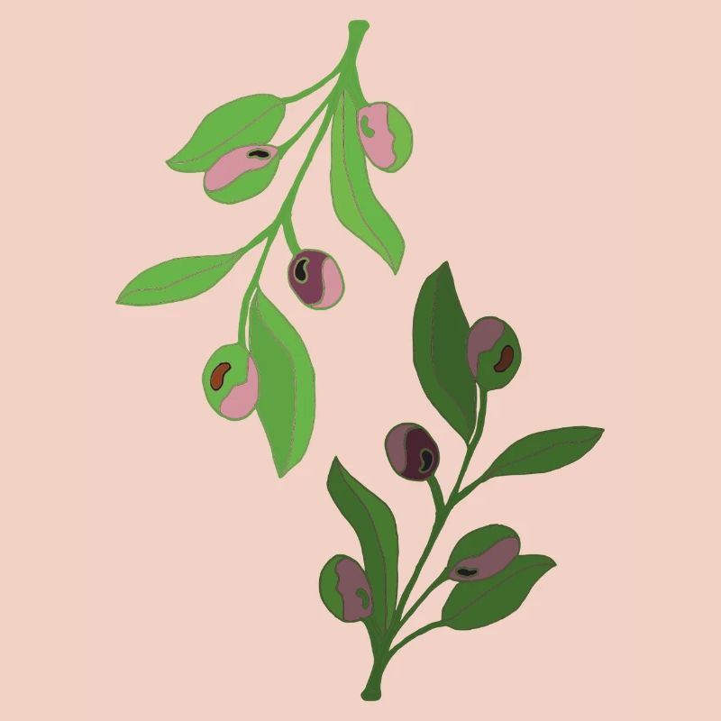 branches d’olivier, vert rose
