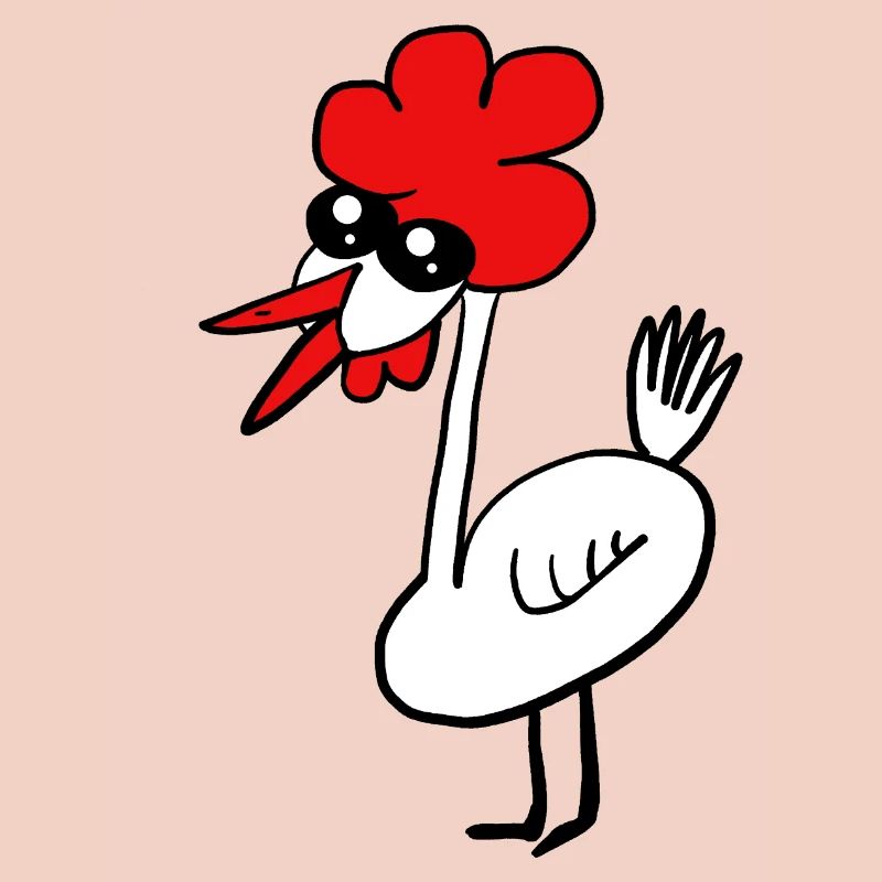 chicken chickens poultry funny
