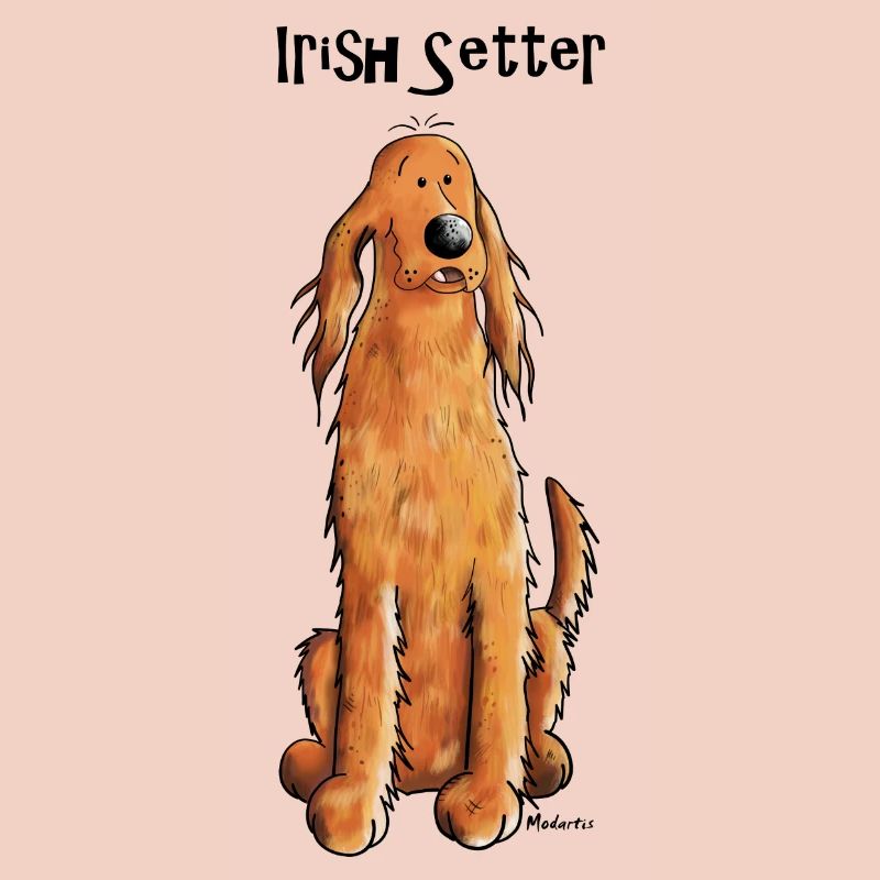 Mignon Irish Setter