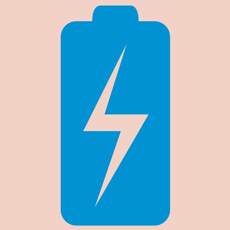 Battery charging status