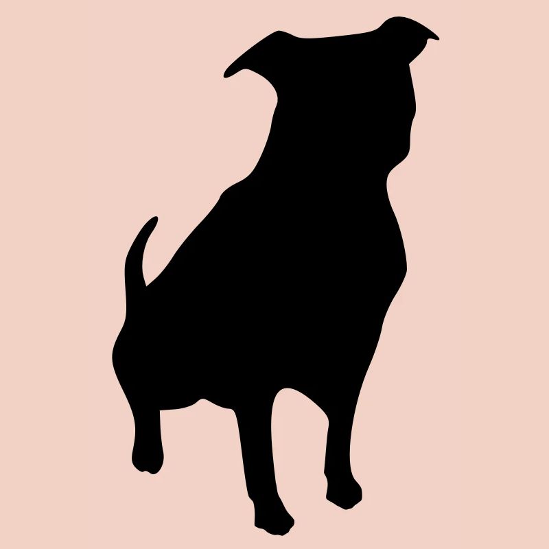 Chien