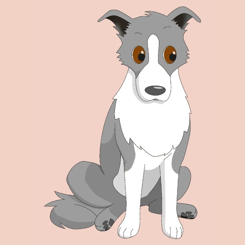 Border Collie Side Eye