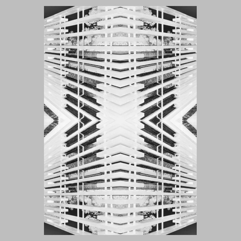 Bois abstrait V.2