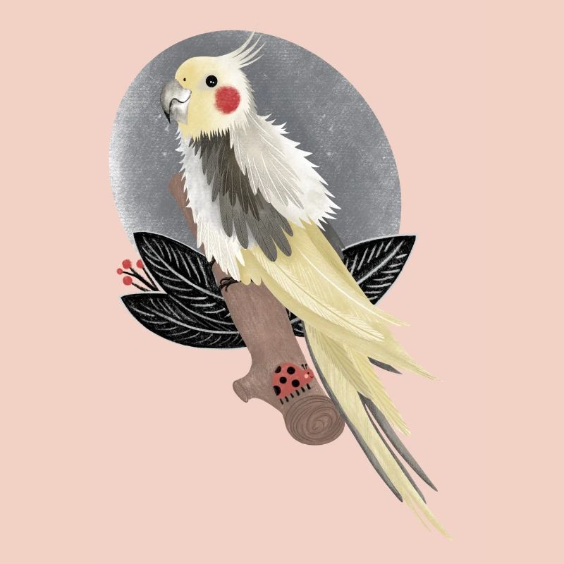 illustration de cacatoès calopsitte