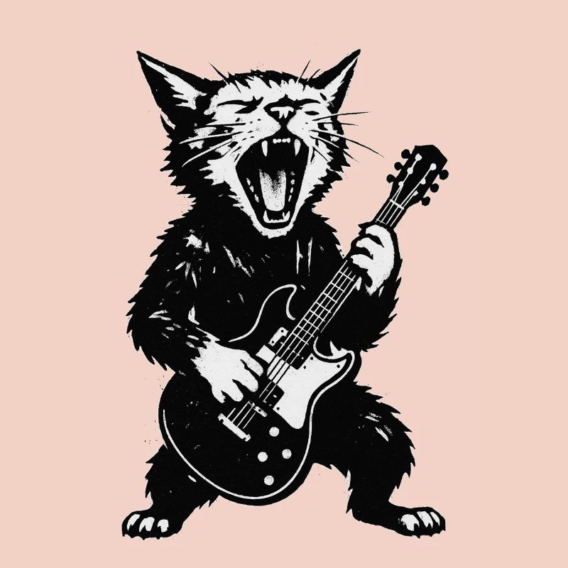 Guitariste de Cat Rock