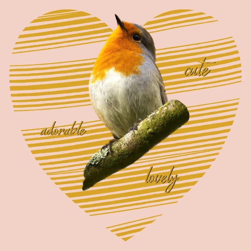 Rotkehlchen robin Erithacus rubecula