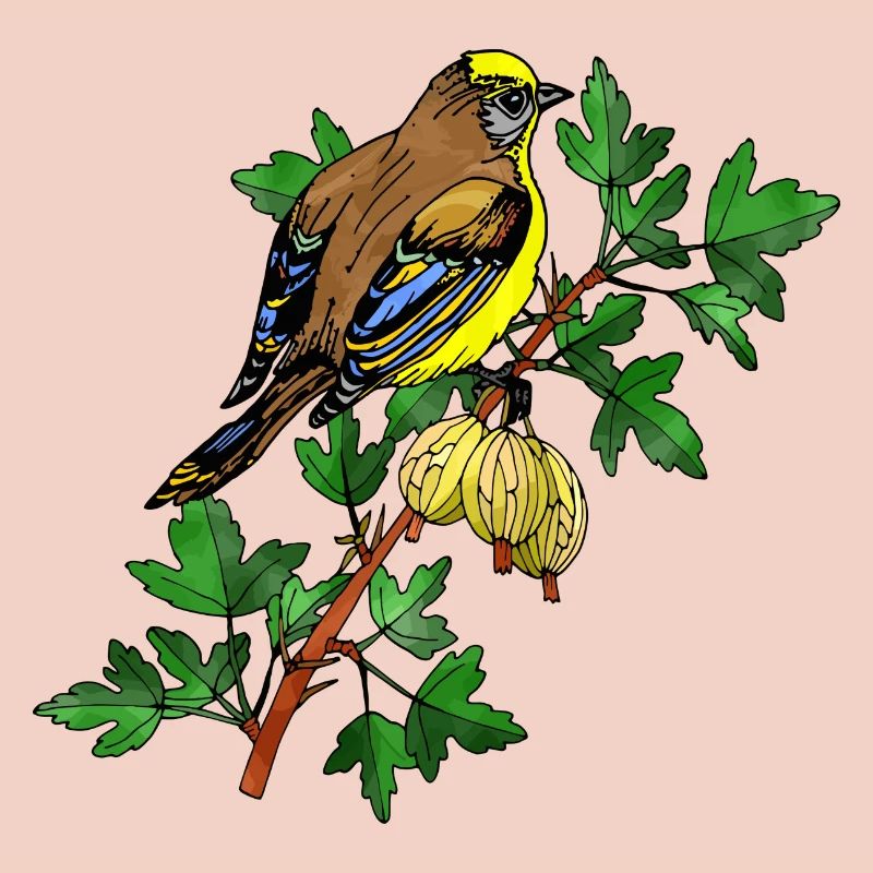Bird