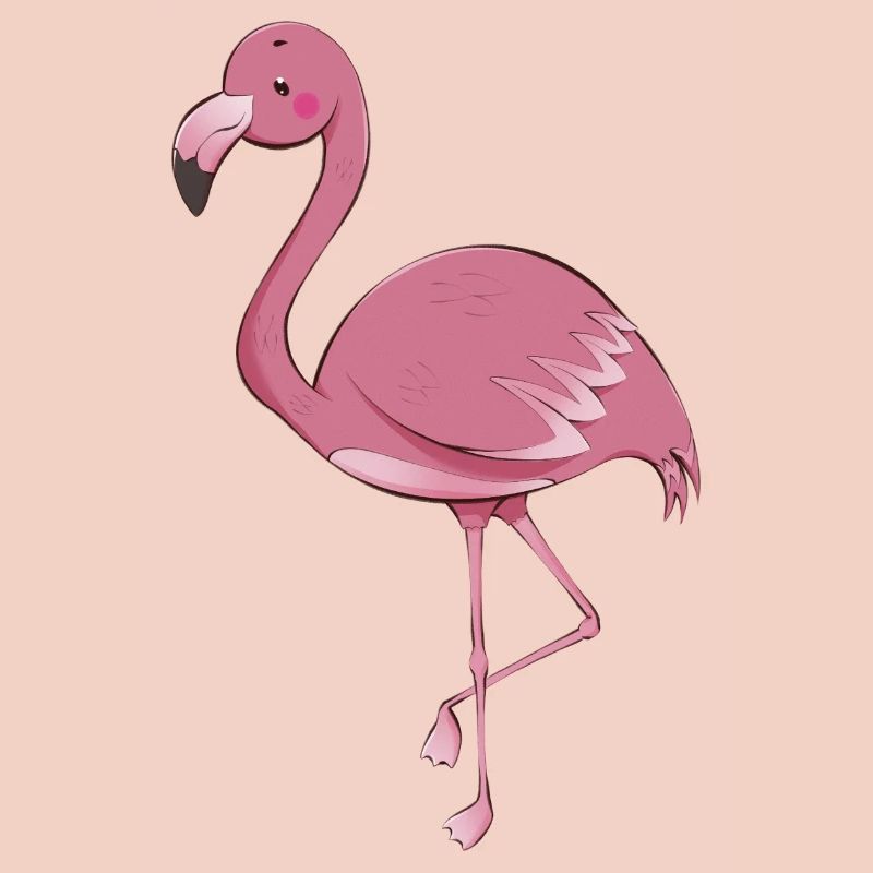 Flamant