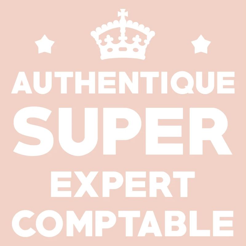 Expert Comptable / Comptabilité / Comptable /