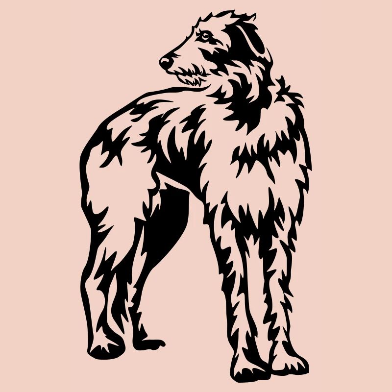 Deerhound écossais