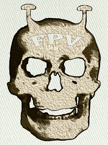 FPV Totenkopf Schaedel