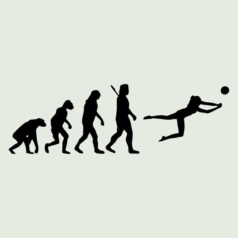 Evolution Beachvolleyball