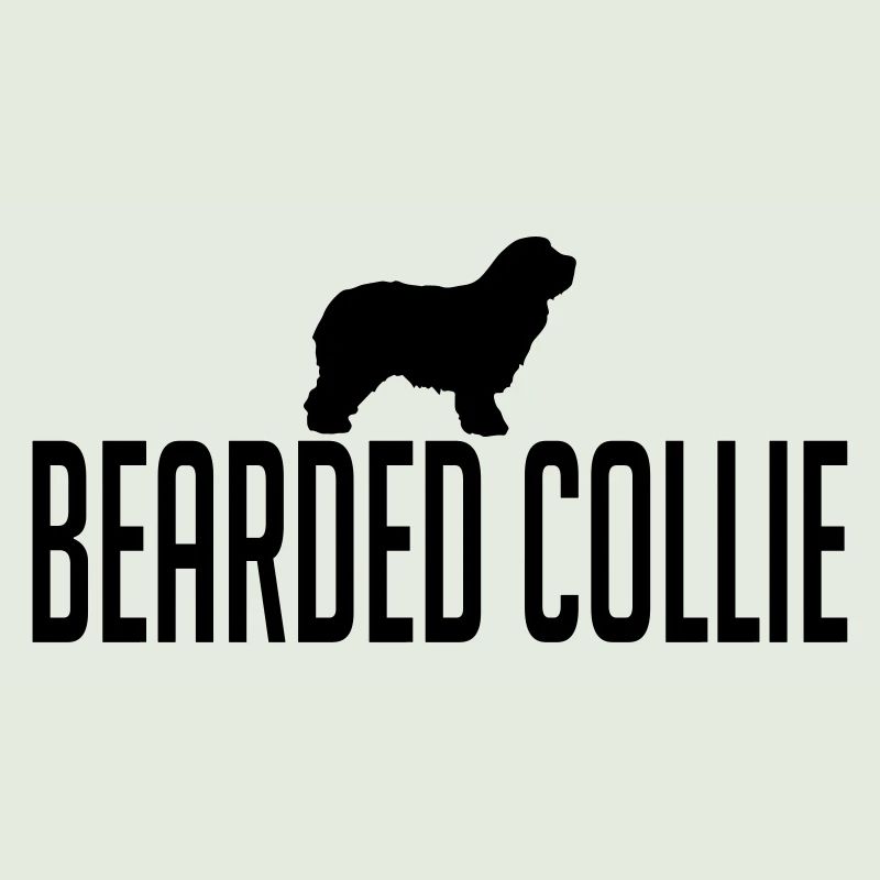 BEARDED COLLIE Hunderasse