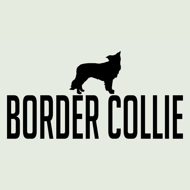 BORDER COLLIE Hunderasse