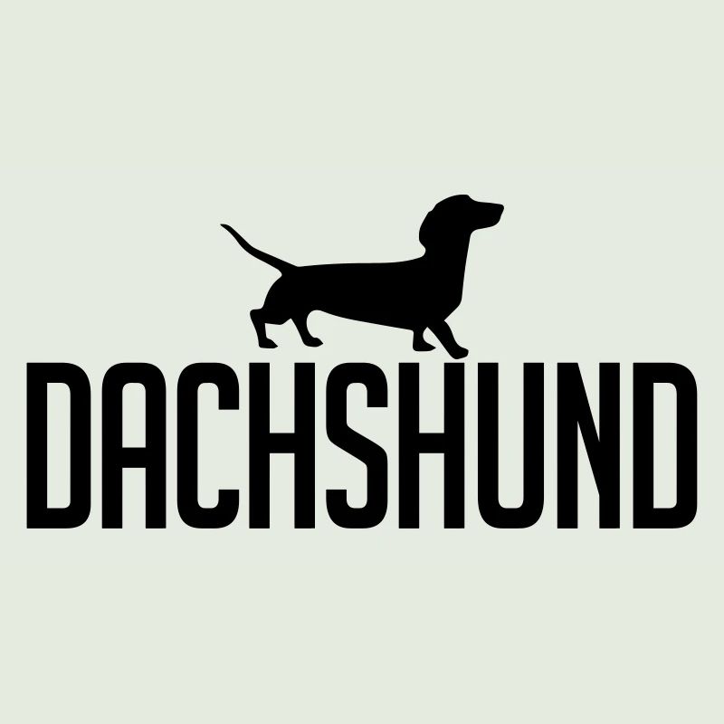 DACHSHUND Hunderasse