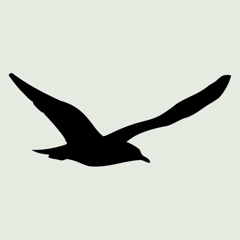 Möwe