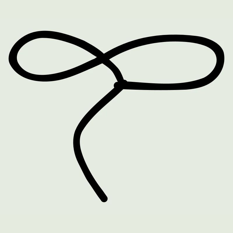Lasso