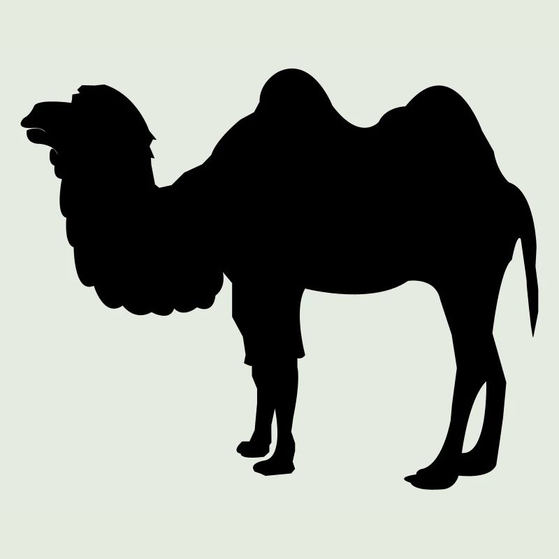 kamel