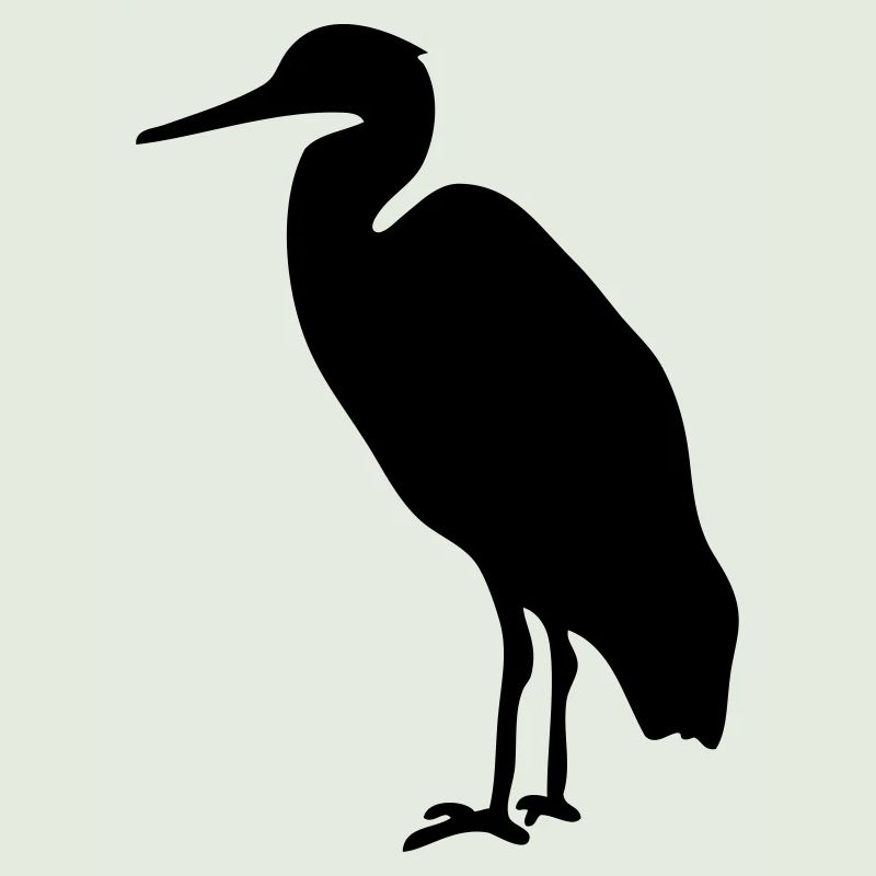 Storch Watvogel