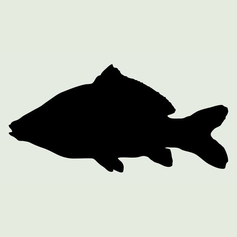 Carp