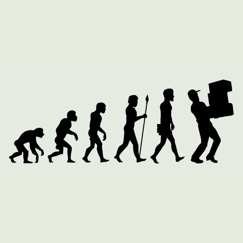 Evolution package delivery t-shirt postman gift