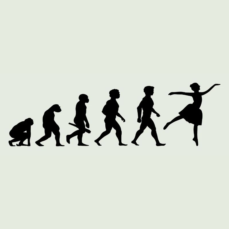 Evolution Ballerina Ballet Dance Dancer Dancing