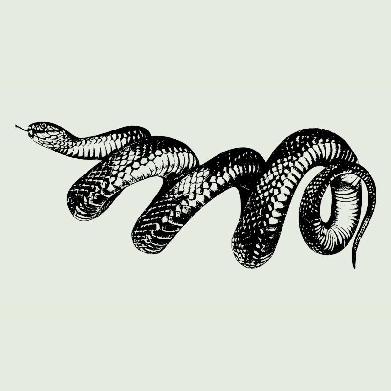 serpent