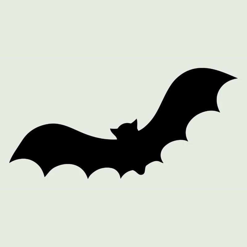 Fledermaus