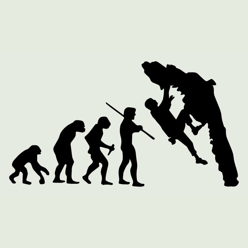 Boulder Evolution