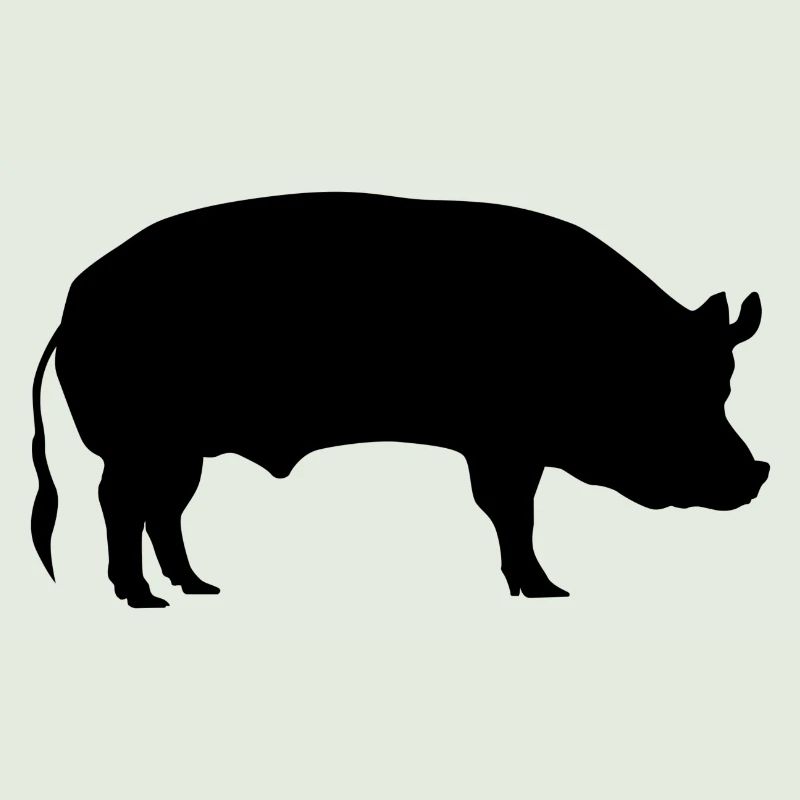 Pig / sow