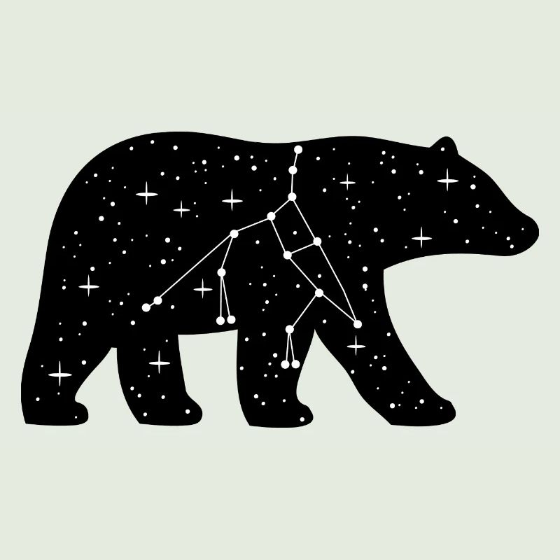 großer Bär