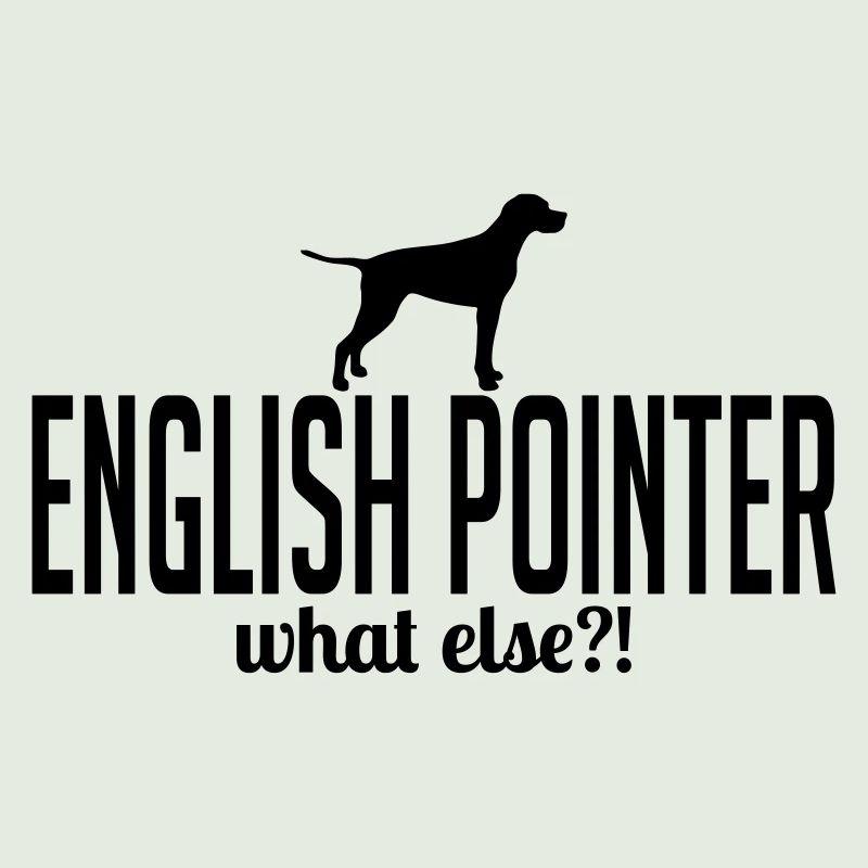 ENGLISH POINTER what else