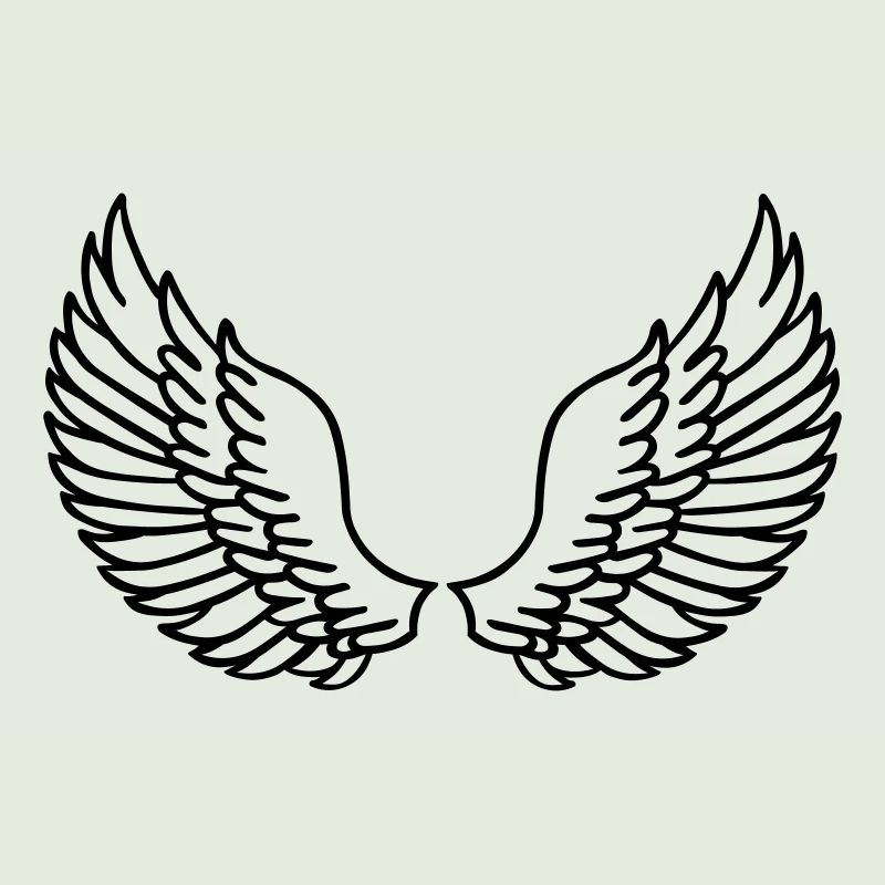 Les ailes