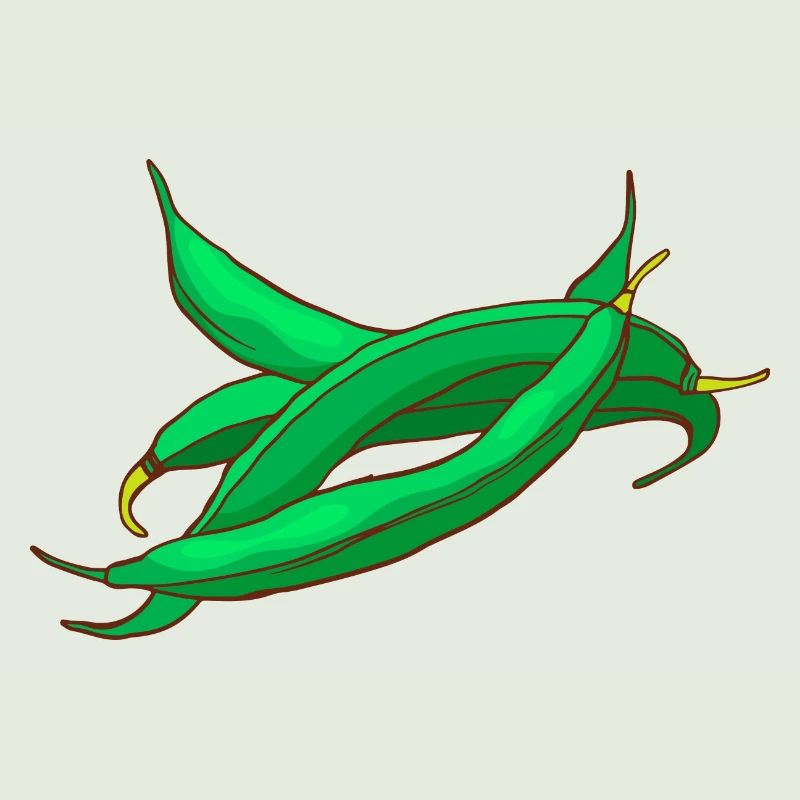 Haricots cire haricots haricots